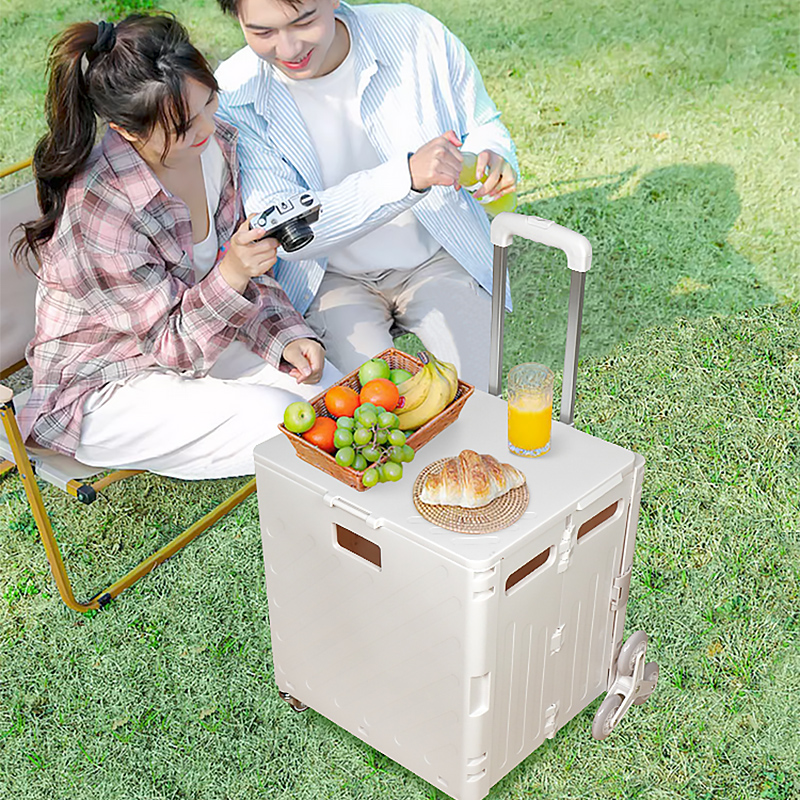 Lightweight Brushed Trolley Lu - Office Supply Cart recensie en prijs